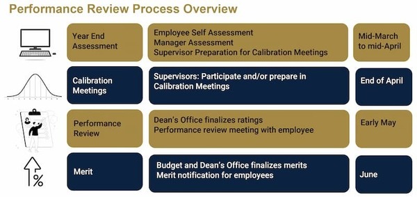 Performance Review process graphic